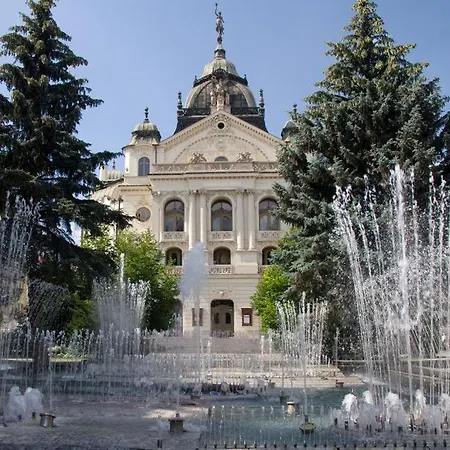 23 V Historickom Centre Kosic 公寓 *