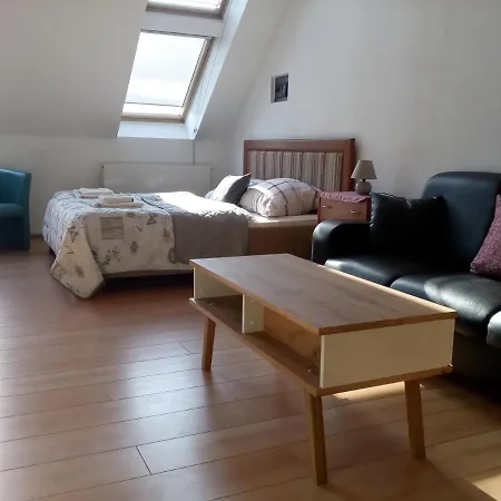 23 V Historickom Centre Kosic شقة