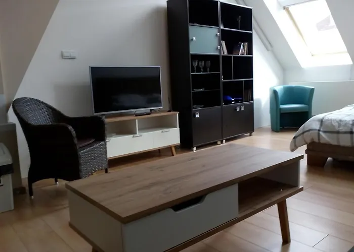 23 V Historickom Centre Kosic Διαμέρισμα *